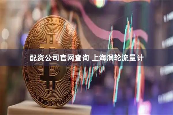 配资公司官网查询 上海涡轮流量计