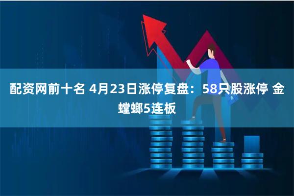 配资网前十名 4月23日涨停复盘：58只股涨停 金螳螂5连板